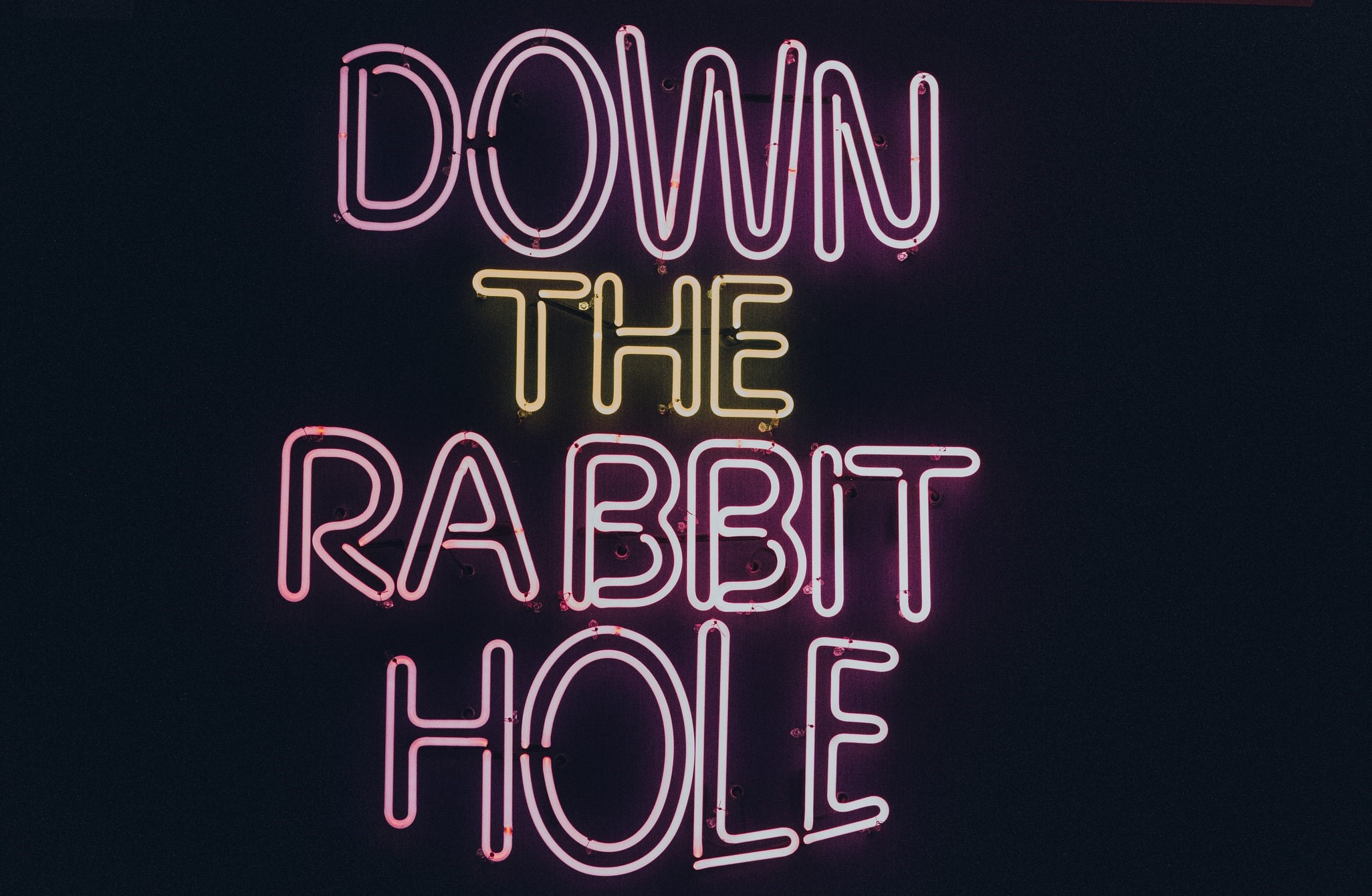 Down the Rabbit Hole